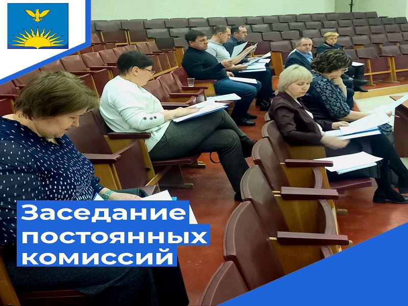 Депутаты городского Собрания провели совместное заседание постоянных комиссий..