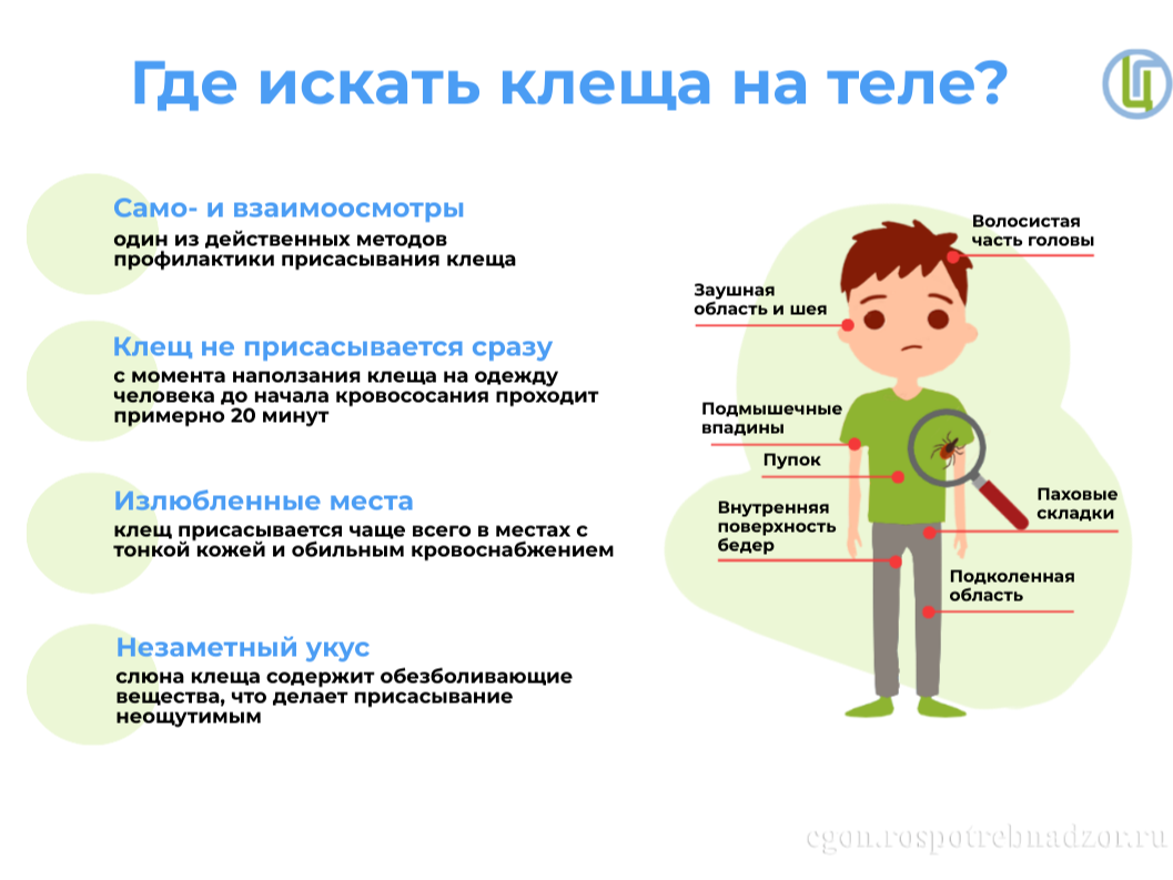 ОБЪЯВЛЕНИЕ.