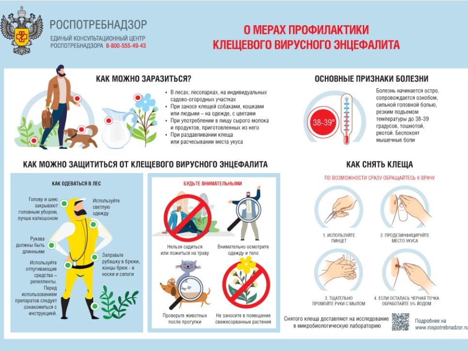 О мерах профилактики КВЭ.