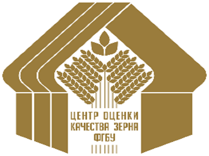 Как выбрать идеальный арбуз